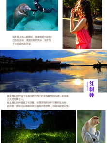 沙巴花享4晚6日半自助游 私享至美双岛，两天泡汤两天看海