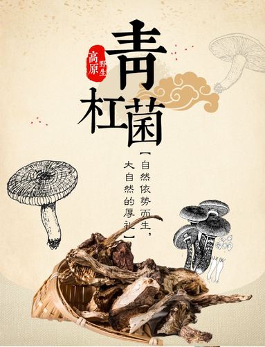 旅行社代理招徕,委托社为西行